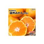 ふるさと納税 果物類 みかん 愛媛県 西予市  訳あり 温州みかん 約10kg（サイズ不揃い）早生 黒田農園直送 果物 柑橘 フルーツ 家庭用 自宅用 おすそ分け 食べ…