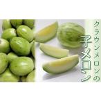メロン メロン青肉 クラウンメロンの子メロン