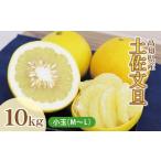 ふるさと納税 みかん・柑橘類 高知県 土佐市 土佐文旦（ぶんたん）（小玉サイズ：Ｍ〜Ｌ混合）約10kg 株式会社とさもん（土佐市）厳選 家庭用 文旦 10キロ 約2…