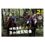 体験チケット 体験乗馬と冬の裸馬騎乗 ペアチケット