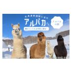 感謝状等 アルパカのエサ ビバカンパニー