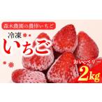 ふるさと納税 静岡県 牧之原市 060-3 ビタミンC含有量No.1 完熟冷凍いちご（おいCベリー）２ｋｇ以上！