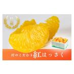 みかん 柑橘類 八朔 紅八朔 村のこだわり 紅はっさく 約7kg