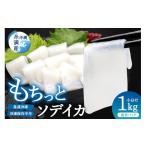 イカ モチっとした新食感 ソデイカ セーイカ