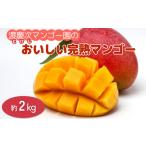 ショッピングふるさと納税 マンゴー ふるさと納税 マンゴー 沖縄県 うるま市 渡慶次マンゴー園の完熟マンゴー約2Kg 先行予約 2026年発送