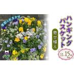 花 ハンギング バスケット 花苗 おまかせ 寄せ植え