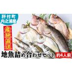 旬の鮮魚等 A09002 地魚詰め合わせセット