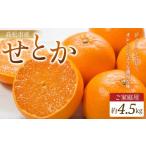ご せとか 約4.5kg