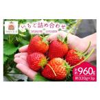 ふるさと納税 いちご 宮崎県 日向市  期間限定発送 果物 いちご 詰め合わせ 320g×3パック 笹木野いちご園 宮崎県 日向市 452061652 フルーツ イチゴ 苺 食べ…