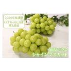 ふるさと納税 ぶどう マスカット 山梨県 甲州市 クール配送 加温ハウス「マルエス農園」シャインマスカット 合計1.2kg以上(2〜3房) 2026年発送 (MS)D-121 …