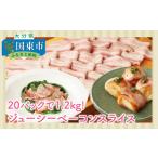 ふるさと納税 ハム・ソーセージ・ハンバーグ 大分県 国東市 20パックで1.2kg ジューシーベーコンスライス_1391R