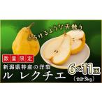 ふるさと納税 梨 新潟県 三条市 先行予約 ル レクチェ 自家用 3kg 訳あり 2025年11月下旬発送 新潟県産 洋梨 ル レクチエ ル・レクチェ 岩福農園 010P026