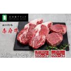 ふるさと納税 牛肉 ステーキ 栃木県 大田原市 大田原ブランド認定牛 前田牧場の赤身牛 ステーキセット | 牛肉 高級 ブランド牛 ステーキ 700g
