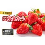 ふるさと納税 いちご 福岡県 八女市 福岡県産あまおう 270g×4パック 2026年3月発送開始 いちご 苺 イチゴ フルーツ 果物 あまおう