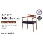 家具 ダイニング チェア RADIUS ラディウス