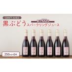 黒ぶどうジュース 100%スパークリング 250ml×6本