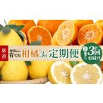 みかん 柑橘類 S040-013_ 定期便