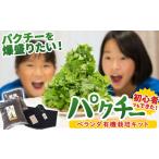 苗木 四万十の豊かな土壌を再現 初心者も安心のお野菜栽培…