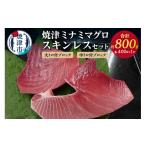 マグロ a31-011 焼津ミナミマグロスキンレスセット