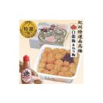 加工品等 梅干 本場紀州 白龍梅1.5kg&ねり梅