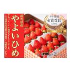ショッピングふるさと納税 いちご ふるさと納税 いちご 群馬県 高崎市  15B007 　金井いちご園のいちご（やよいひめ）Bコース