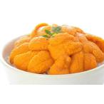 ふるさと納税 ウニ 北海道 根室市 A-06011 エゾバフンウニ塩水パック50〜60g×2P 2026年1月中旬以降発送