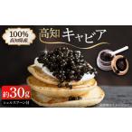魚貝類 キャビア 高知産熟成キャビア 約30g