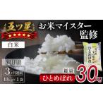 ふるさと納税 米 ひと