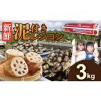 人参 大根 他根菜 泥付き レンコン 3kg