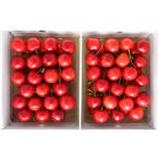 ふるさと納税 果物類 さくらんぼ 山形県 天童市 08-09-002　さくらんぼ(紅秀峰)700g