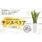 苗木 令和8年度熊本地震復興支援 益城復興祈念