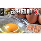 新鮮赤卵 きみ恋卵 60個