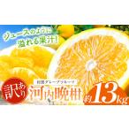 みかん 柑橘類 訳あり 河内晩柑 約 13kg