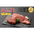 牛肉 ステーキ R8年熊本地震復興支援 熊本産