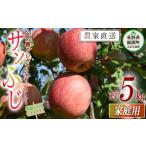 ふるさと納税 りんご 長野県 飯綱町 りんご サンふじ 家庭用 5kg 沖縄県への配送不可 2025年12月上旬頃から2026年2月上旬頃まで順次発送予定 町田さんちのりん…