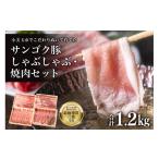 豚肉 セット サンゴク豚 しゃぶしゃぶ 焼き肉セット 1.2kg