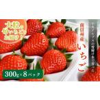 ふるさと納税 いちご 長野県 駒ヶ根市 南信州産「いちご」 (300g×8パック)　 ヨッシャア駒ヶ根 No.5659-1179