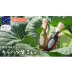 たれ ドレッシング 酢 キャベツ酢2本セット