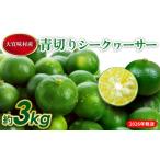 みかん 柑橘類 2026年発送 青切りシークワーサー 約3kg