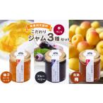 ジャム ブルーベリー 南信州産完熟果実のジャム3種セット