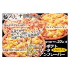 総菜パン バーガー等 CT-003 職人さんの手作りピザ~ジャー…