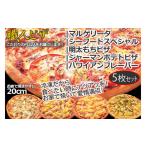 総菜パン バーガー等 CT-005 職人さんの手作りピザ~マルゲ