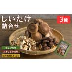 野菜類 きのこ しいたけ詰め合わせセット 3種
