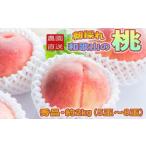 もも 朝採れ和歌山の桃 約2kg