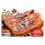 ふるさと納税 静岡県 吉田町 うなぎ 国産 炭火焼 肉厚 蒲焼 120g ×5尾 計600g [村田商店 静岡県 吉田町 22424192] 鰻 ウナギ 炭火焼き 炭火 蒲焼き 冷凍 真空…