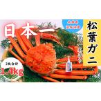 カニ 松葉ガニ 松葉ガニの本場より プロ茹で松葉ガニ
