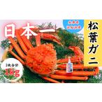 カニ 松葉ガニ 松葉ガニの本場よりプロ茹で松葉ガニ