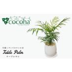 インテリア テーブル ヤシ cocoha AWB009