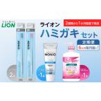 定期便 毎月 6か月 LION ハミガキセット