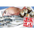 旬の鮮魚等 朝獲れ直送 天羽漁協 旬の3種セット